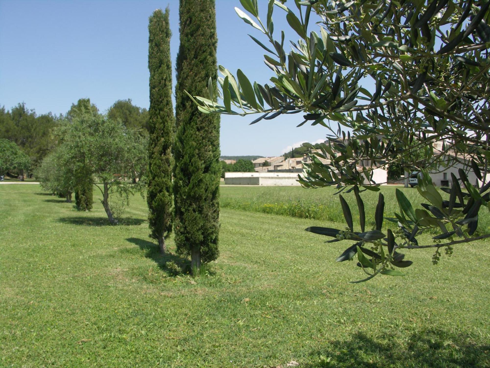 Hotel Domaine Saint Martin Valliguieres Esterno foto